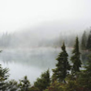 Meet your Posher, Wesley